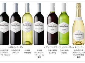 インバウンド需要も狙う日本産ワイン アサヒビールが販売